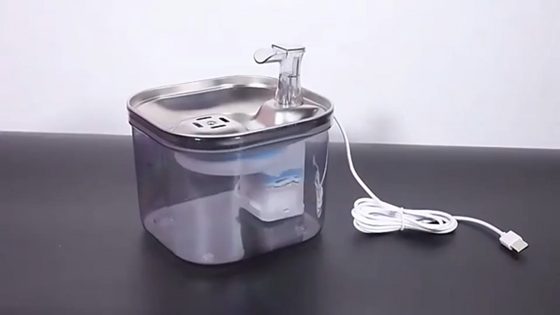 Fontaine à Eau Chat - Ultra Silencieuse | Votre chat boira 5x plus