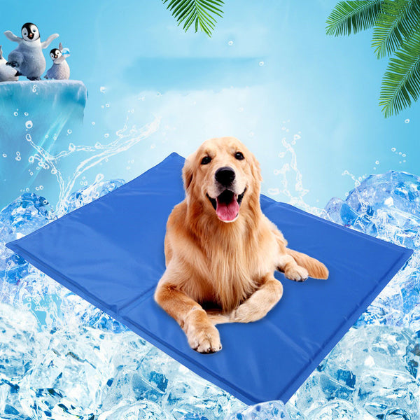 Tapis Rafraîchissant Chien — Protection Contre la Chaleur