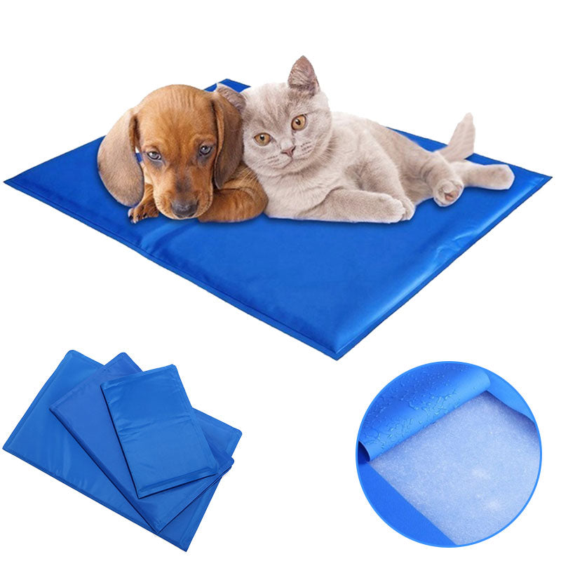 Tapis Rafraîchissant Chien — Protection Contre la Chaleur