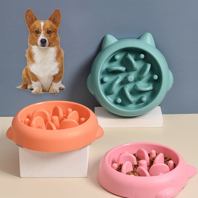 Gamelle Anti-Glouton Chien — Digestion Saine et Repas Calmes