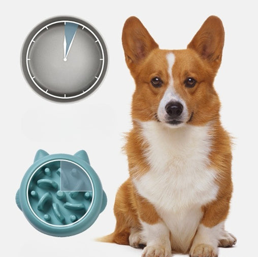 Gamelle Anti-Glouton Chien — Digestion Saine et Repas Calmes