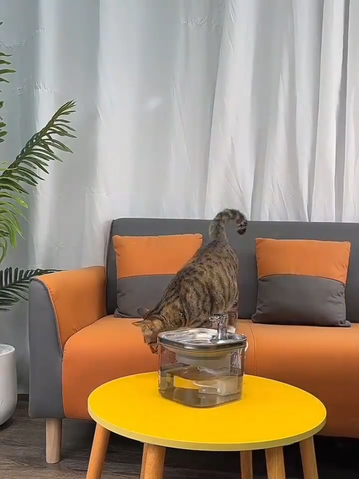 Fontaine à Eau Chat - Ultra Silencieuse | Votre chat boira 5x plus