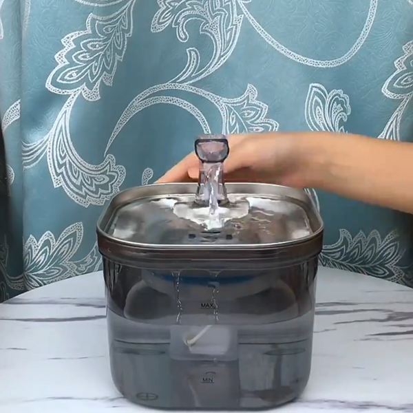 Pack Bien-Etre Chat - Fontaine + Jouet Interactif